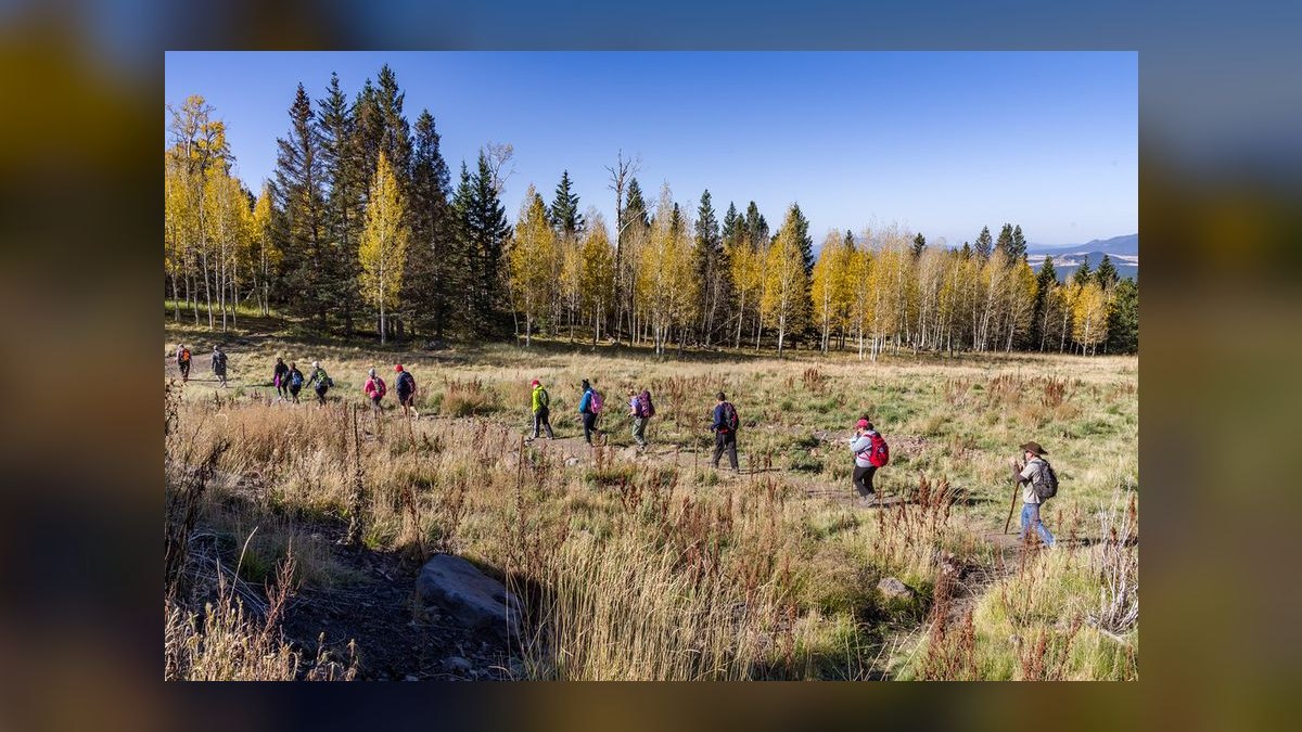 The 10 Best Private Ski Clubs in North America (2027) — figure 5