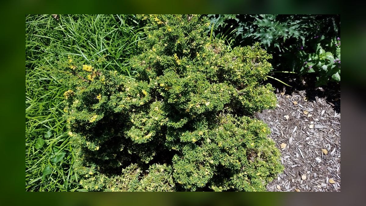 The 10 Best Colognes That Smell Like a Walk in the Forest in 2027 — figure 5