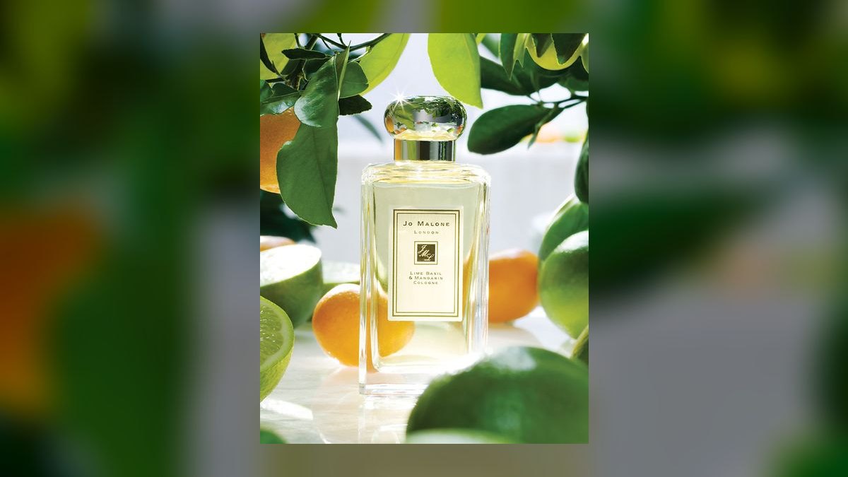 The 10 Best Colognes for a Cross-Country Flight in 2027 — figure 10