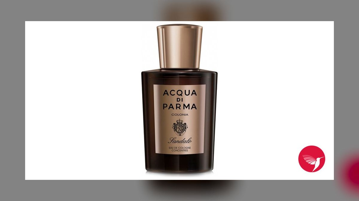 Top 10 best woody colognes for 2027 — figure 9