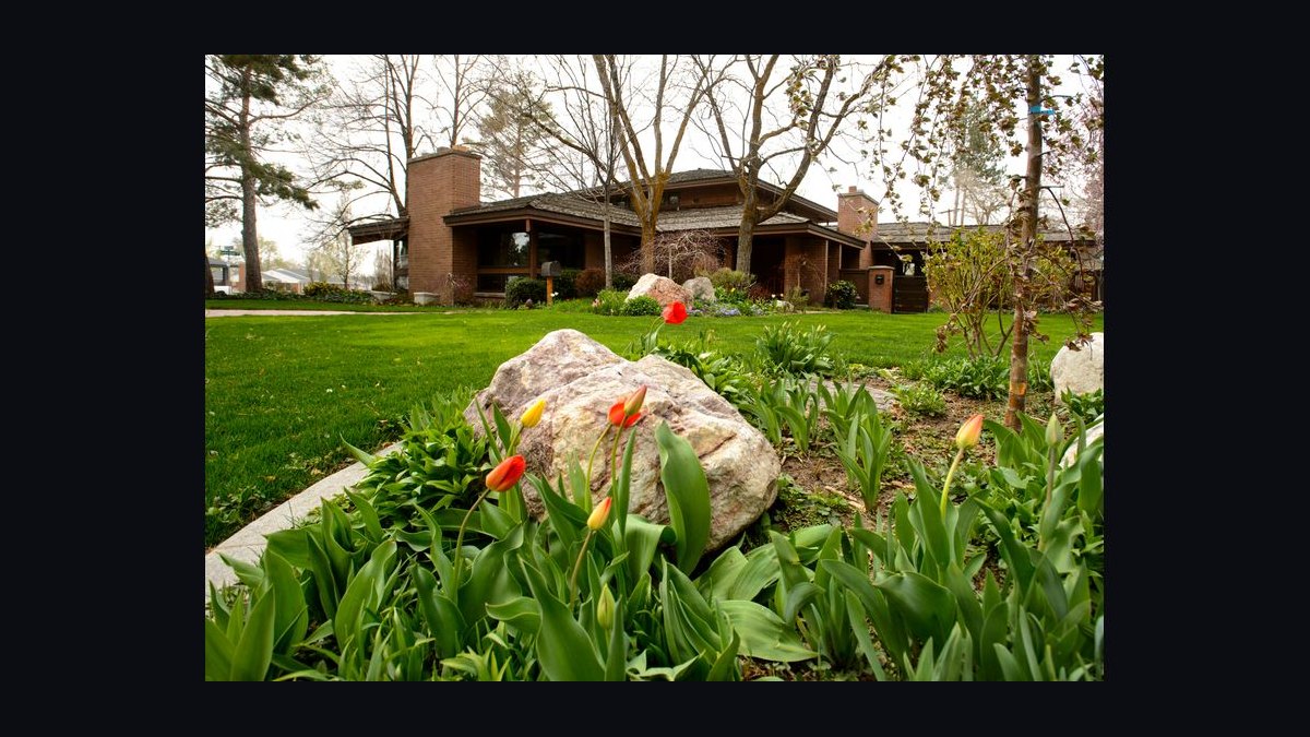 Top 10 Social Clubs in Utah in 2027 — figure 3
