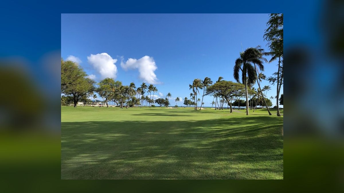Top 10 Social Clubs in Hawaii in 2027 — figure 3