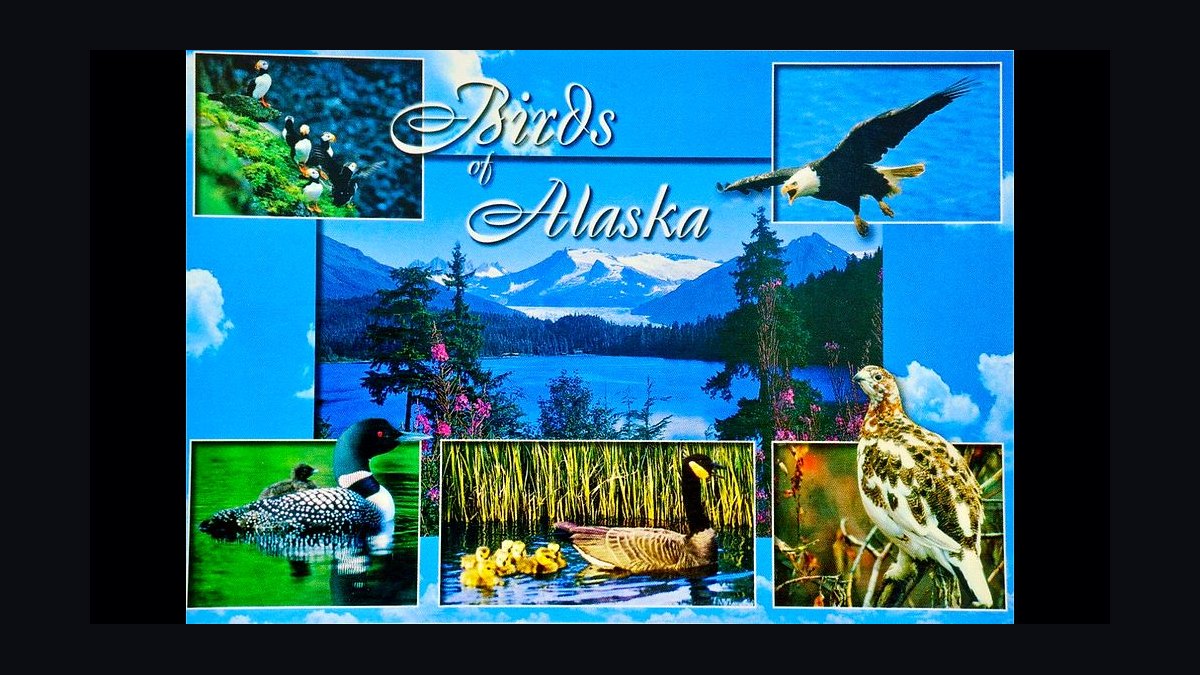 Top 10 Social Clubs in Alaska in 2027 — figure 10