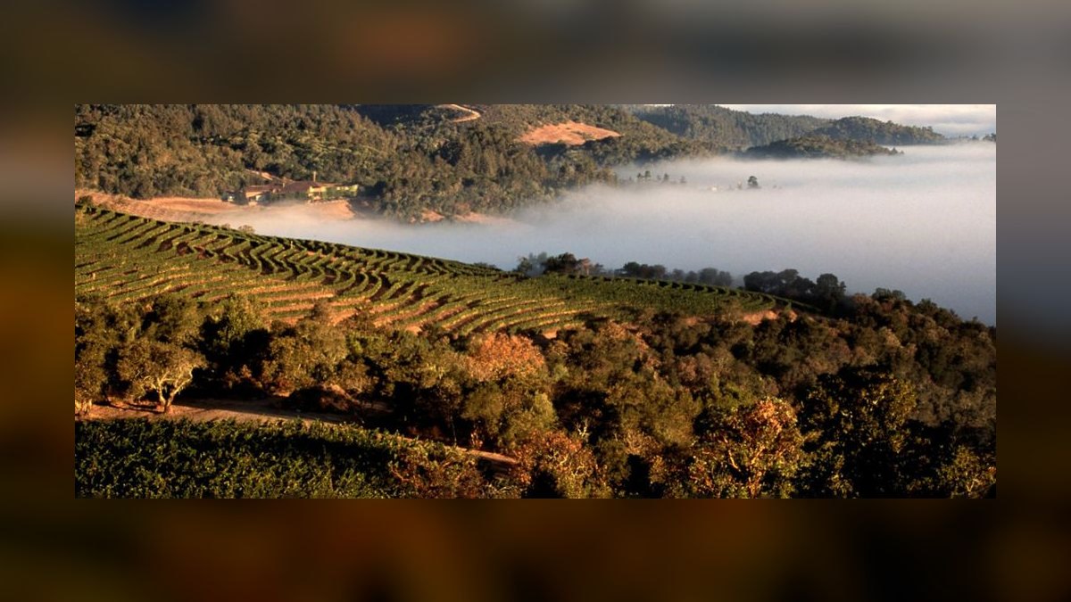 The 10 Best Investment-Grade Wines to Collect in 2027 — figure 8