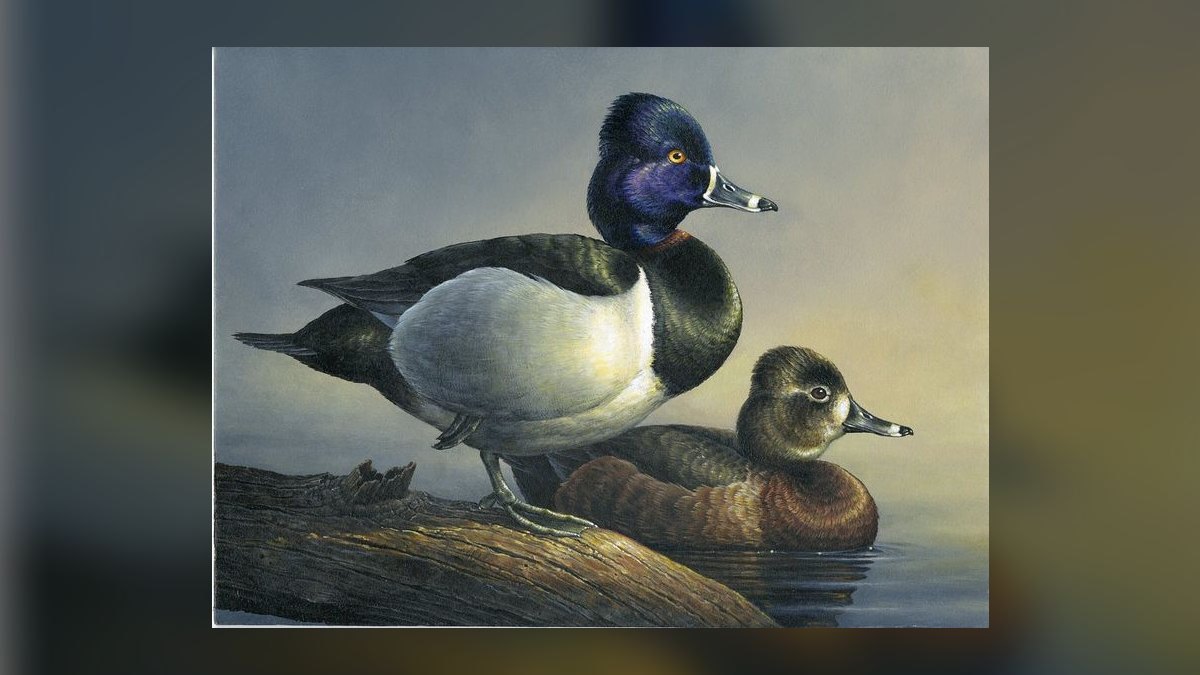 The 10 Best Rare Postage Stamps to Collect in 2027 — figure 10