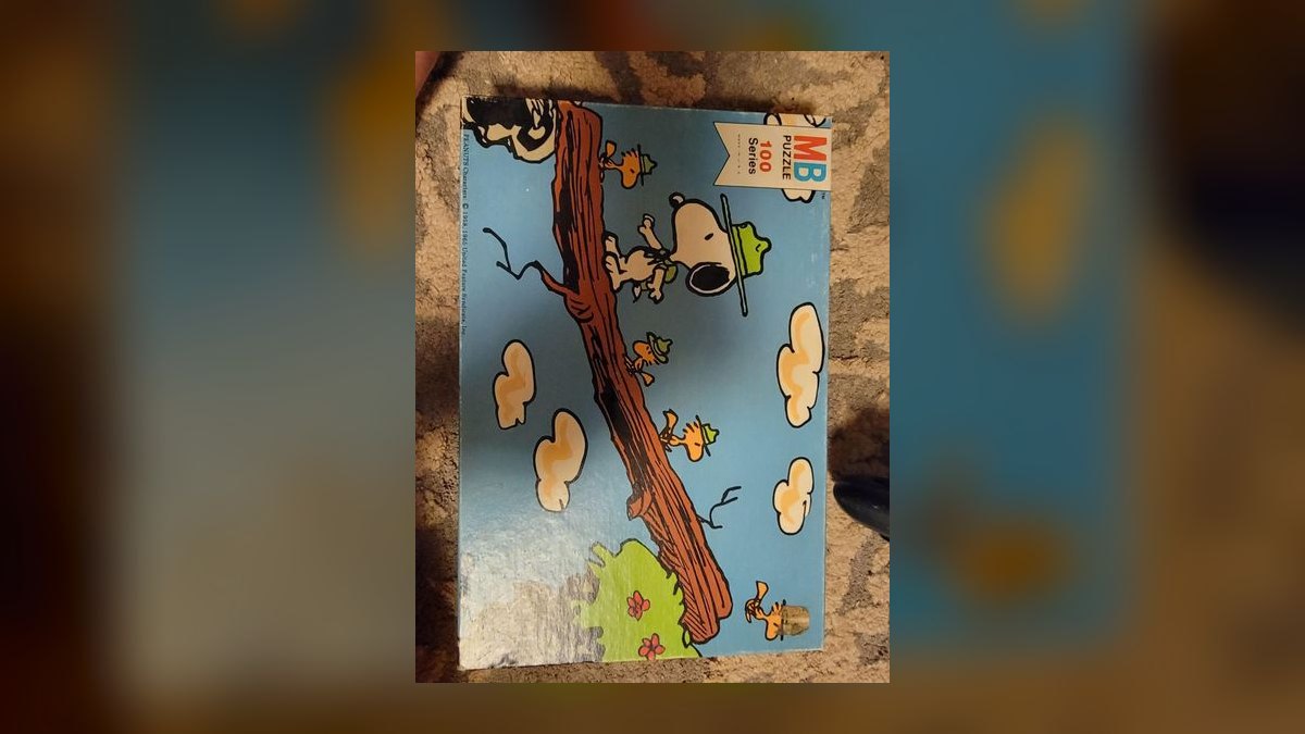The 10 Best Antique Wooden Puzzles to Collect in 2027 — figure 4