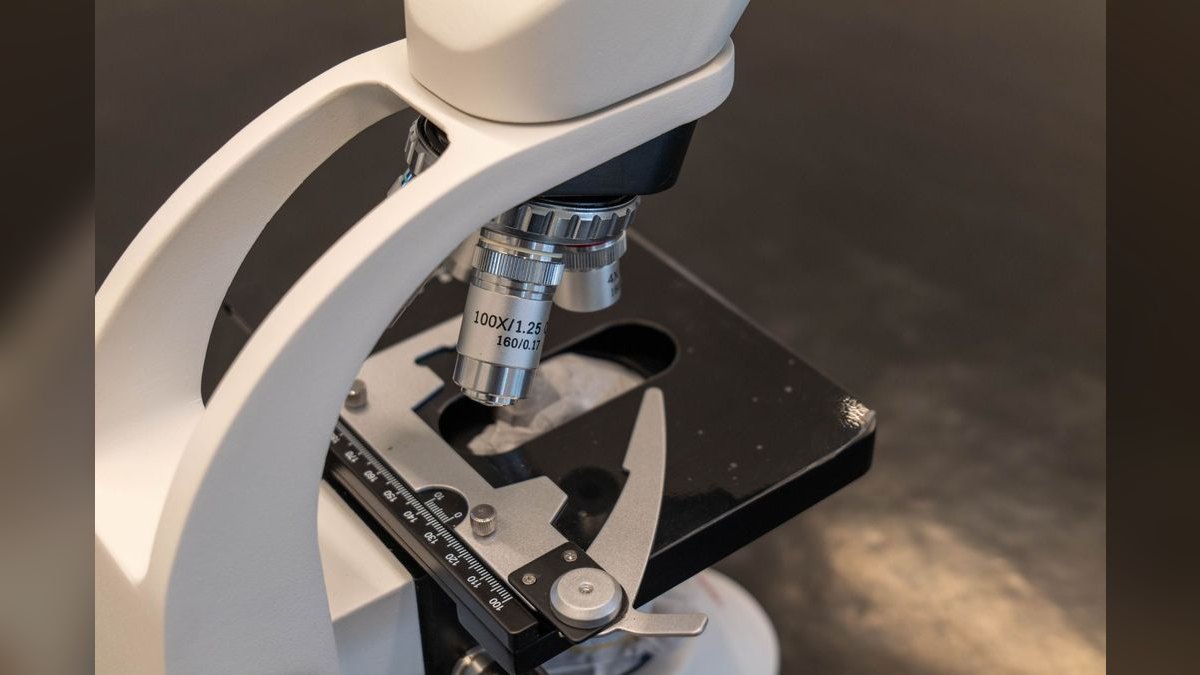 The 10 Best Antique Scientific Instruments to Collect in 2027