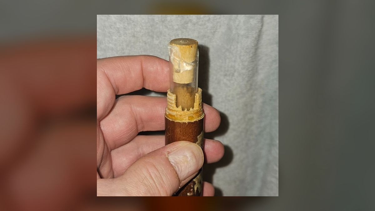 The 10 Best Antique Walking Sticks to Collect in 2027 — figure 6