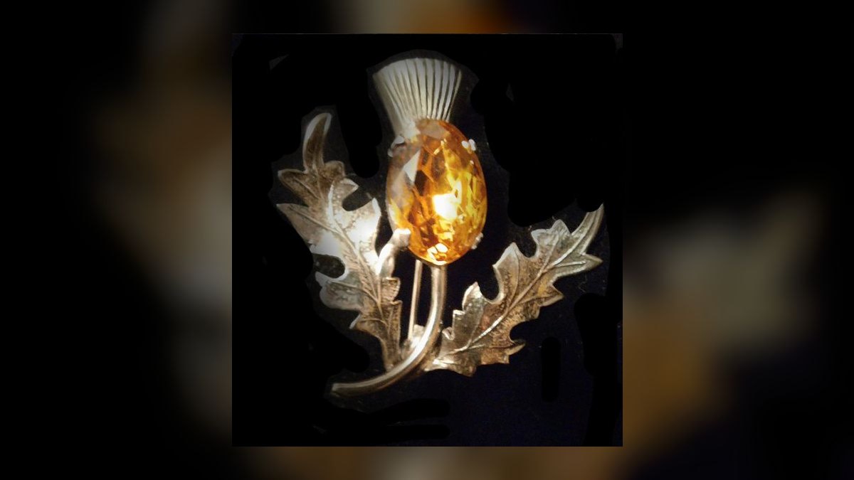 The 10 Best Vintage Scottish Thistle Brooches to Collect in 2027 — figure 1