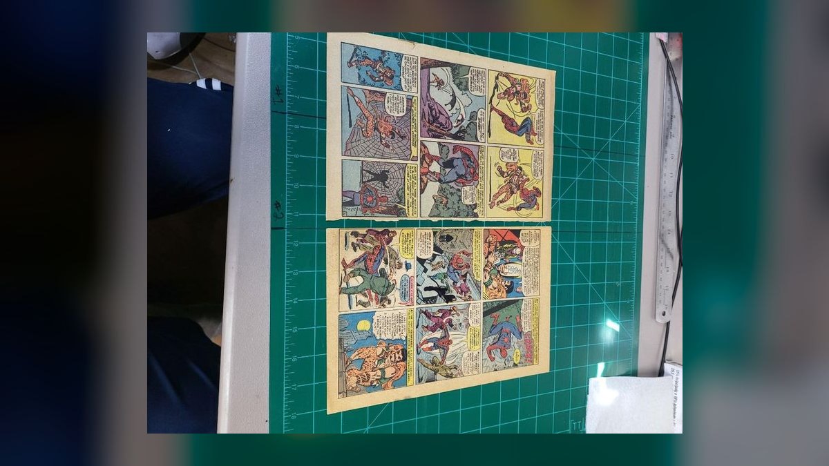 The 10 Best Steps for Pressing and Cleaning Comic Books Before Grading in 2027 — figure 2