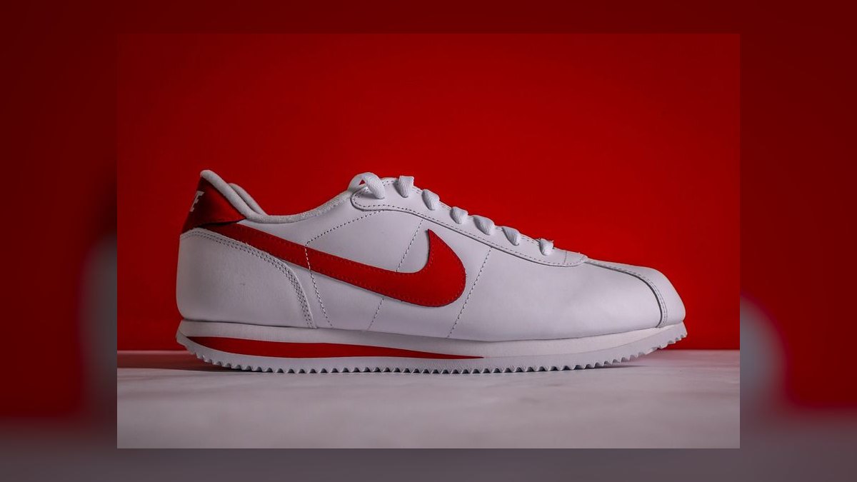 The 10 Best Steps for Organizing a Sneaker Collection by Silhouette in 2027 — figure 5