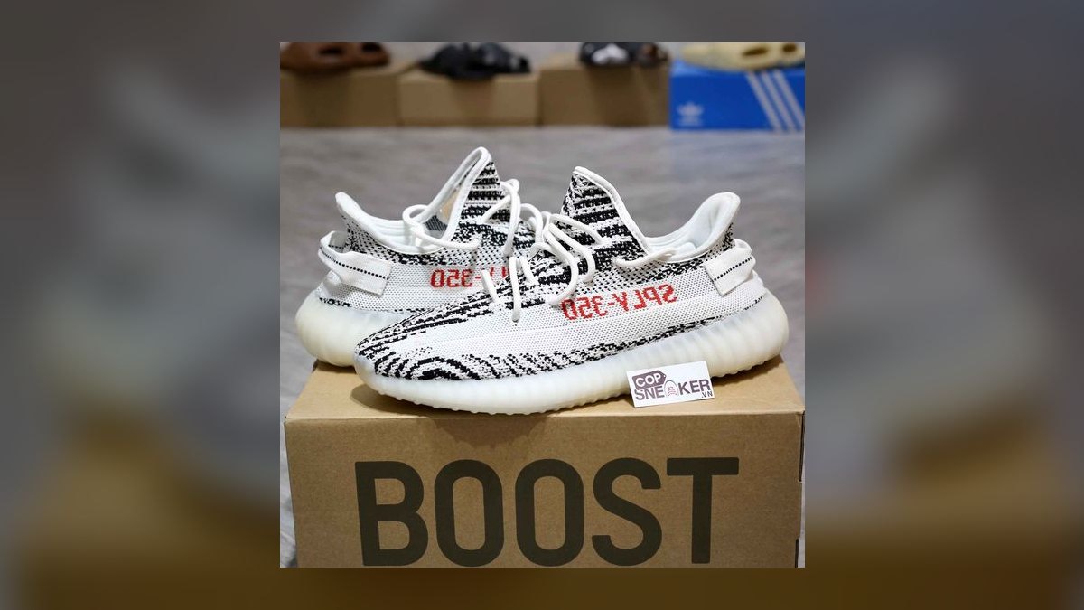 The 10 Best Steps for Grading Sneaker Boxes in 2027
