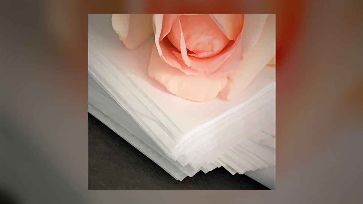 The 10 Best Steps for Preserving Sneaker Boxes and Tissue Paper in 2027 — figure 4