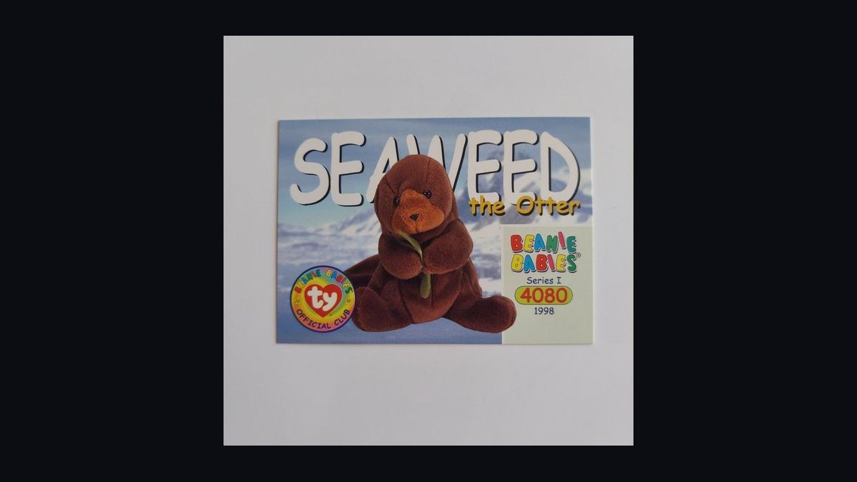 Top 10 Beanie Babies to Collect in 2027 — figure 6