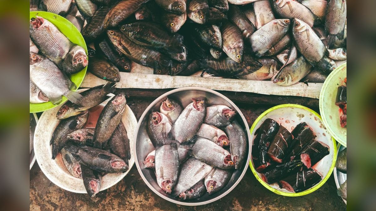 Top 10 Places for Seafood in Maryland — figure 2