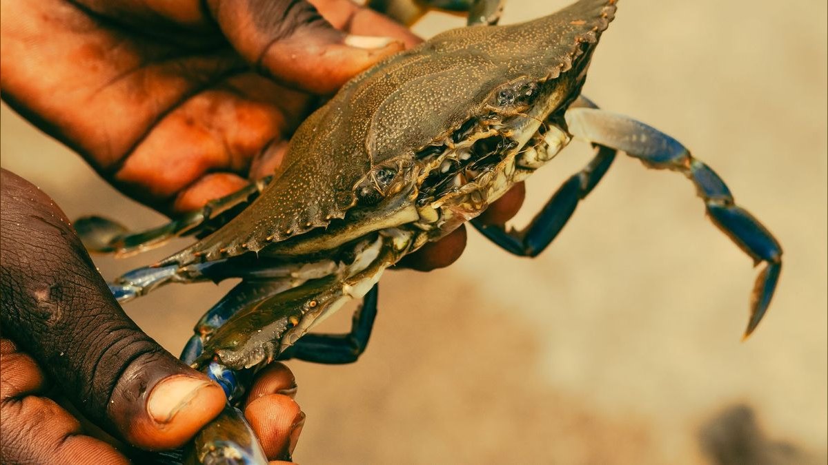 Top 10 Crab Houses in Maryland — figure 6