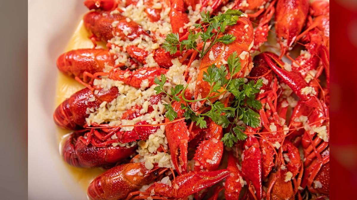 Top 10 Places to Dine in Louisiana