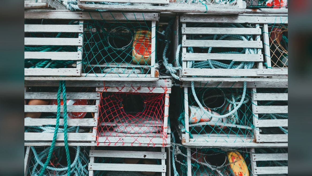 Top 10 Lobster Shacks in Maine — figure 3