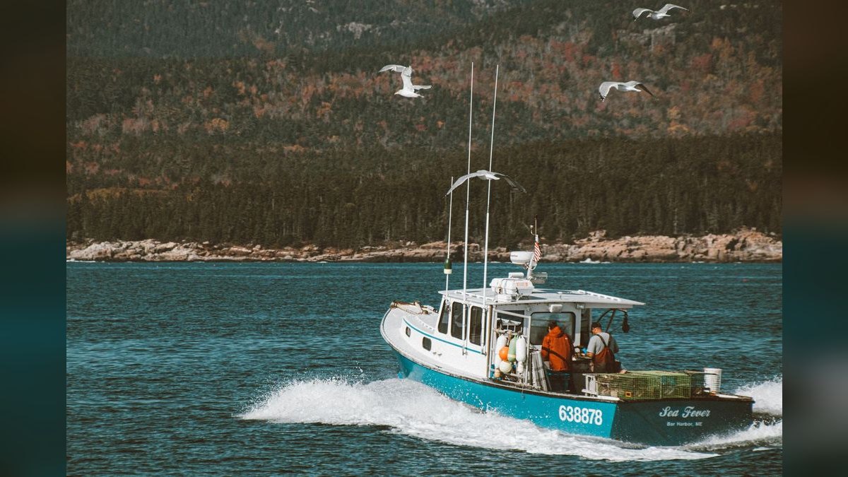 Top 10 Lobster Shacks in Maine — figure 5