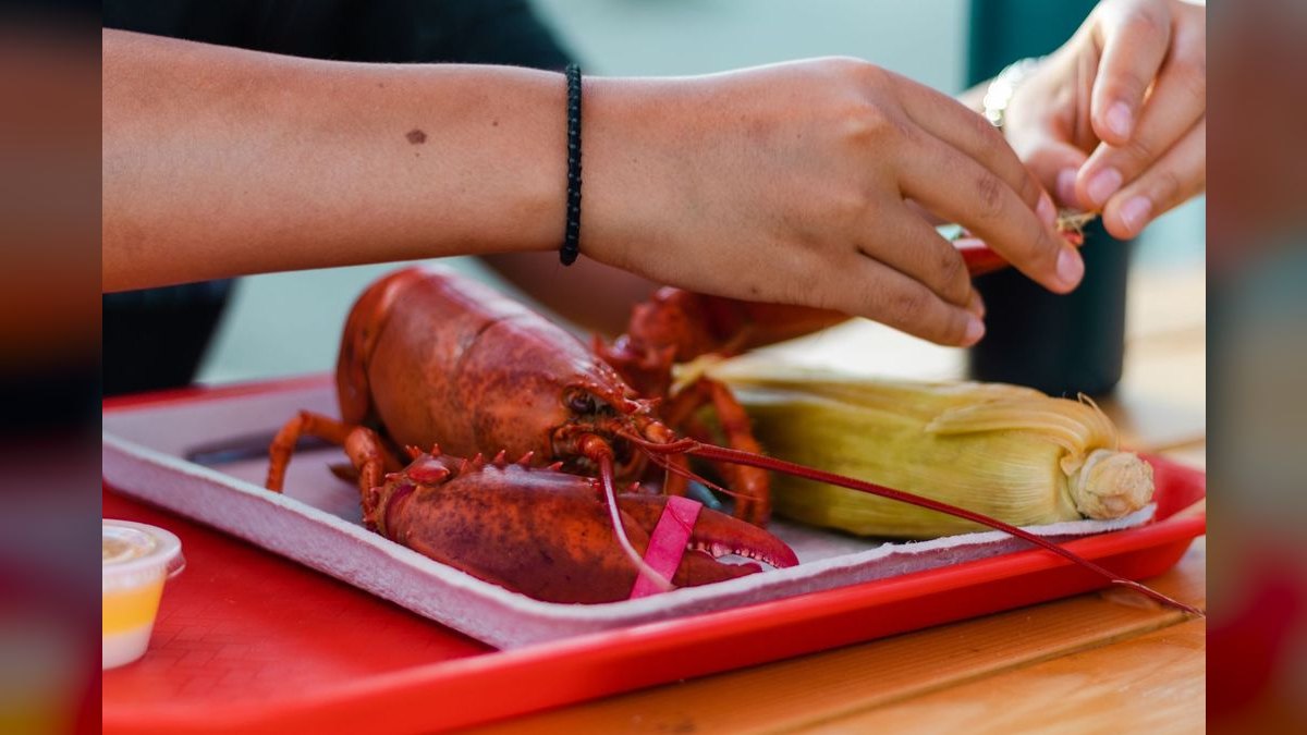 Top 10 Lobster Shacks in Maine — figure 6