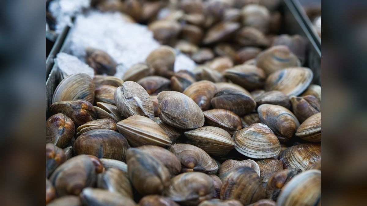 Top 10 Clam Chowder Spots in Boston — figure 1