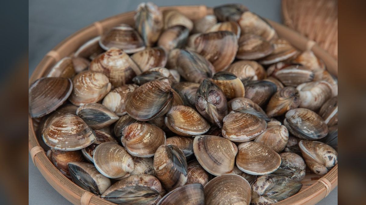 Top 10 Clam Chowder Spots in Boston — figure 2