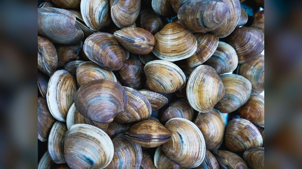 Top 10 Clam Chowder Spots in Boston — figure 6