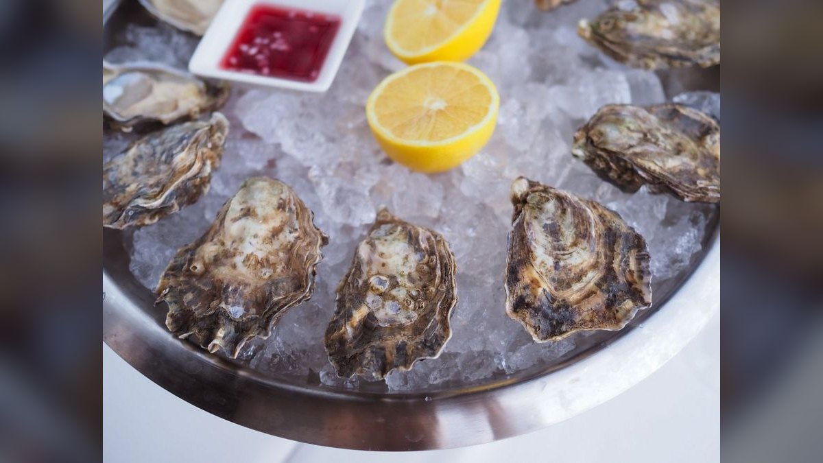 Top 10 Oyster Bars in the United States — figure 1