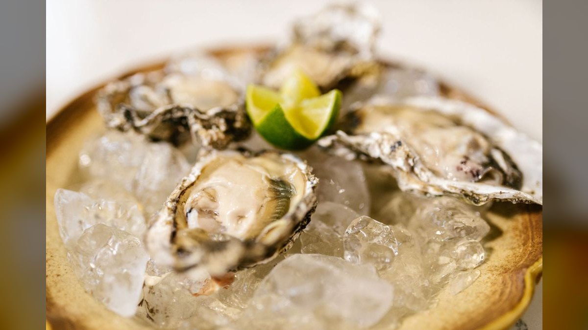 Top 10 Oyster Bars in the United States — figure 6