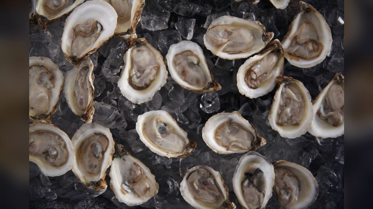 Top 10 Oyster Bars in the United States