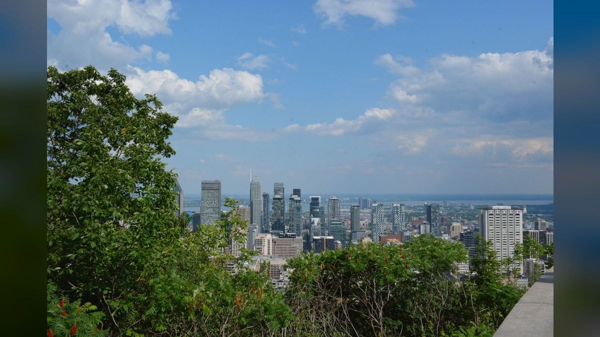 Top 10 Places to Dine in Montreal — figure 3