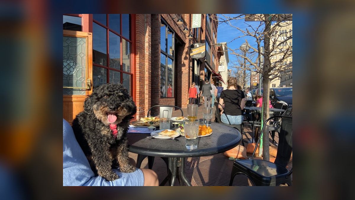 Top 10 Places to Dine in Ann Arbor in 2027 — figure 1