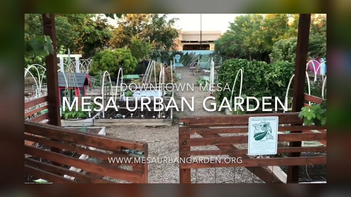 Top 10 Places to Dine in Mesa in 2027 — figure 3