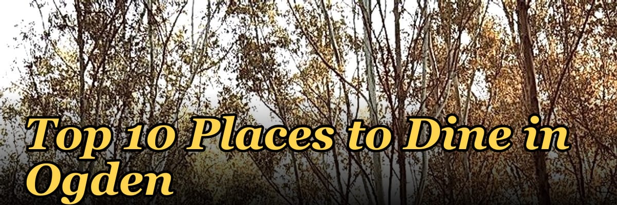 Top 10 Places to Dine in Ogden in 2027