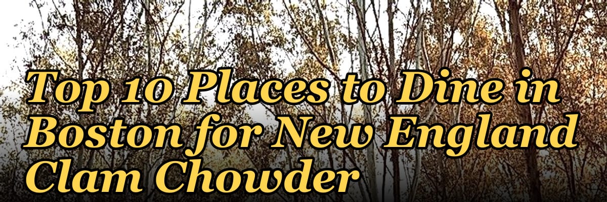 Top 10 Places to Dine in Boston for New England Clam Chowder in 2027