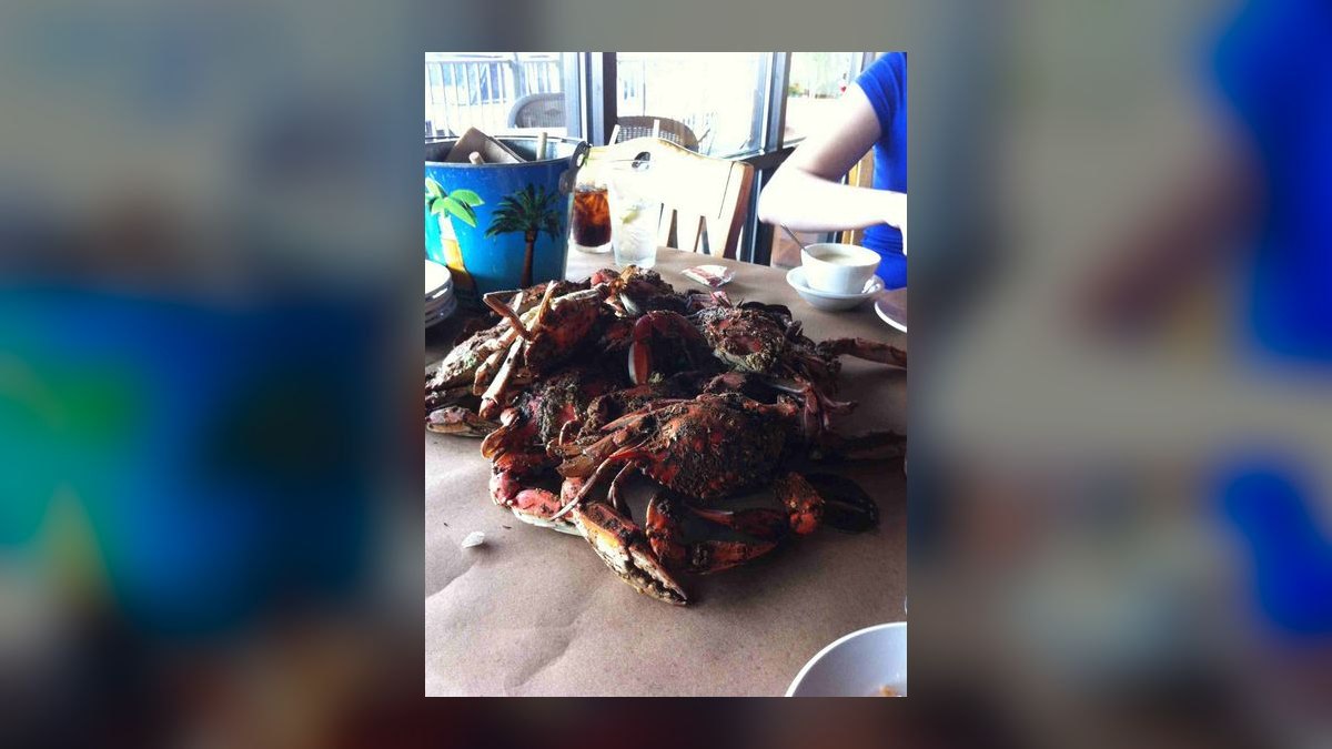 Top 10 Places to Dine in Baltimore for Crab Cakes in 2027 — figure 8