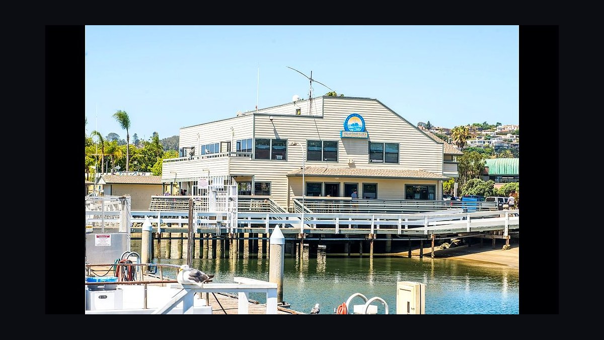 Top 10 Places to Dine in San Diego for Fish Tacos in 2027 — figure 5