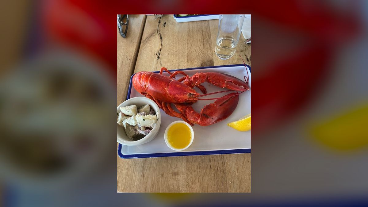 Top 10 Places to Dine in Portland, Maine for Lobster Rolls in 2027 — figure 4
