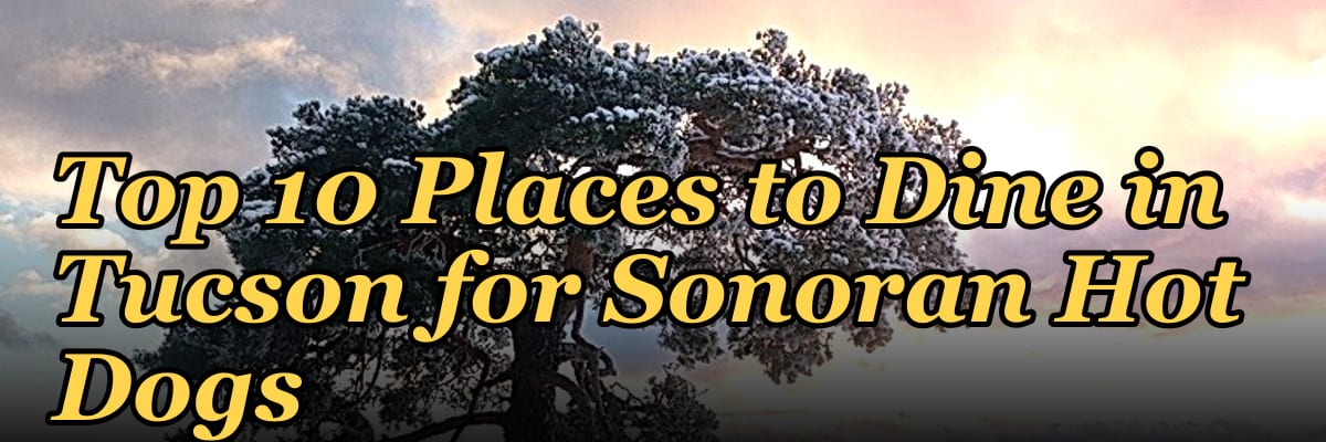 Top 10 Places to Dine in Tucson for Sonoran Hot Dogs in 2027