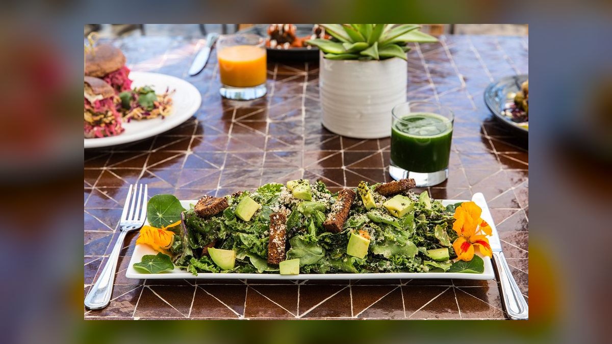 Top 10 Place for Vegan Dining in the United States in 2027 — figure 8