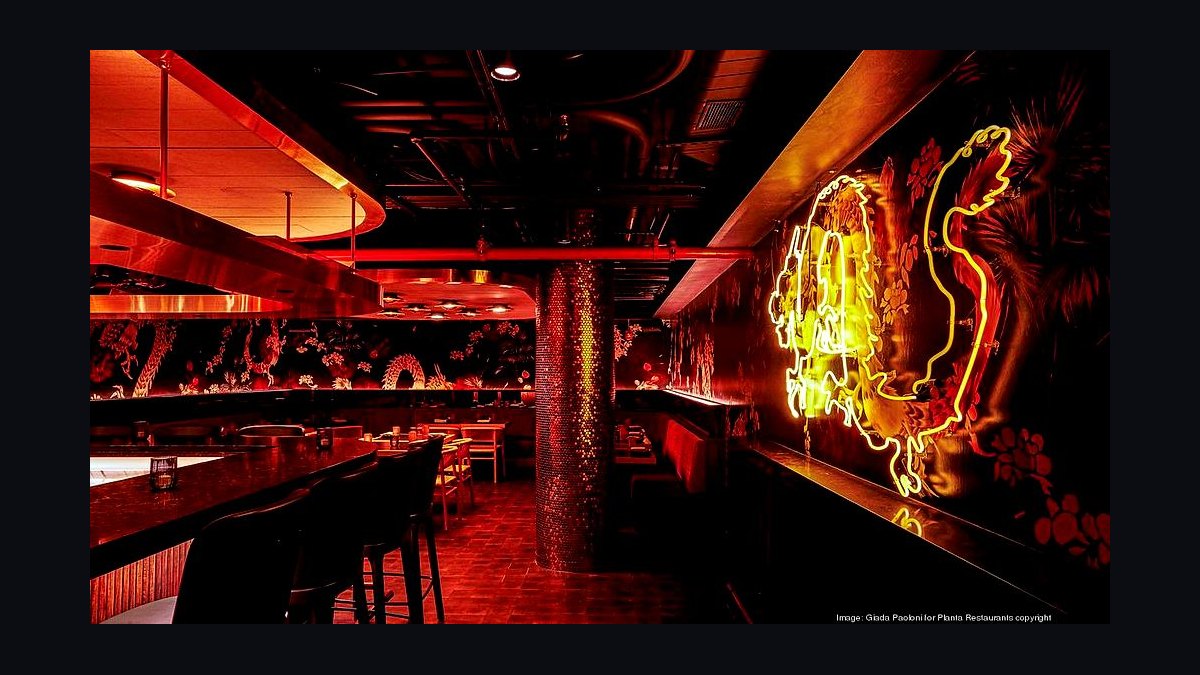 Top 10 Place for Vegan Dining in the United States in 2027