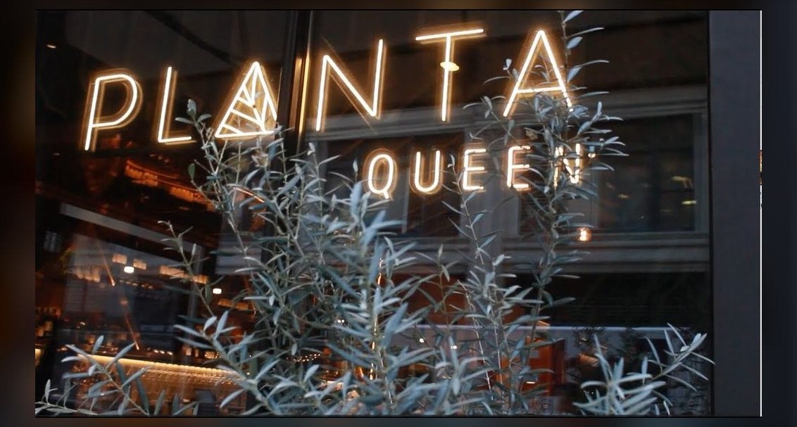 Top 10 Place for Vegan Dining in the United States in 2027