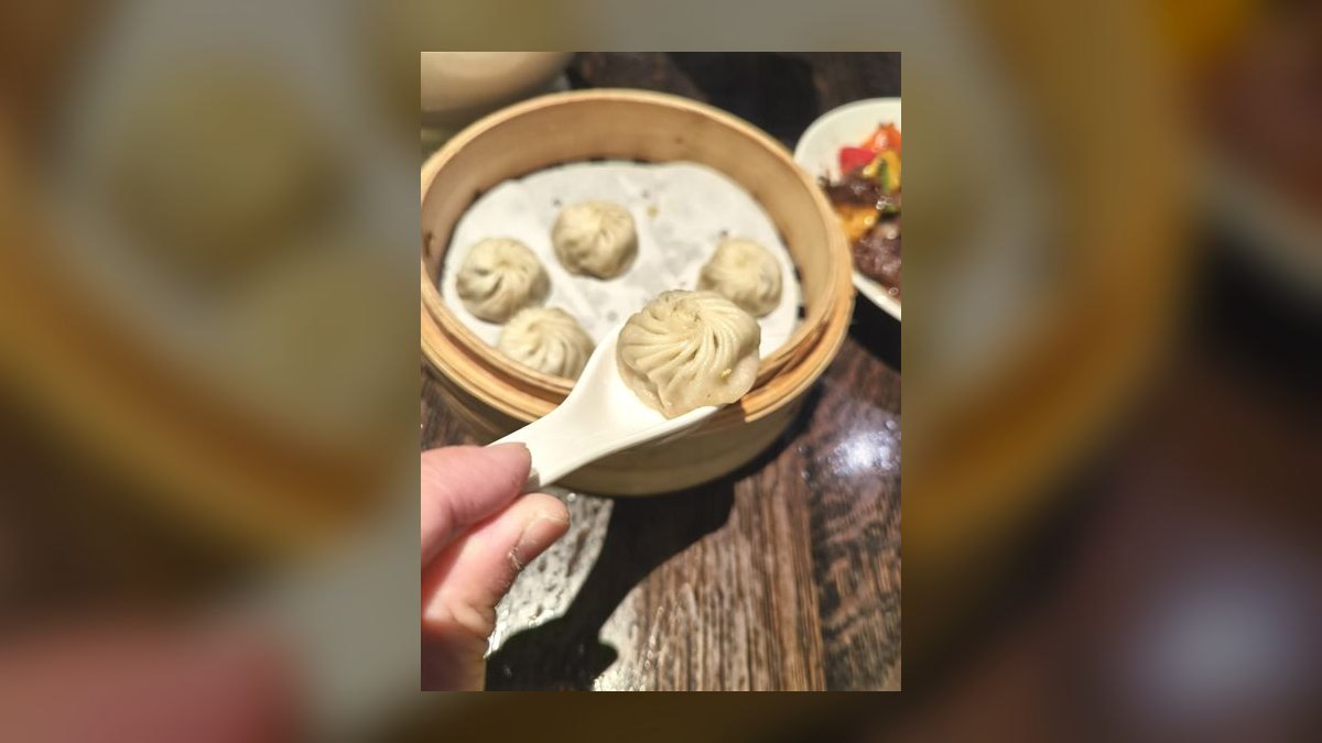 Top 10 Places for Dumplings in the United States in 2027