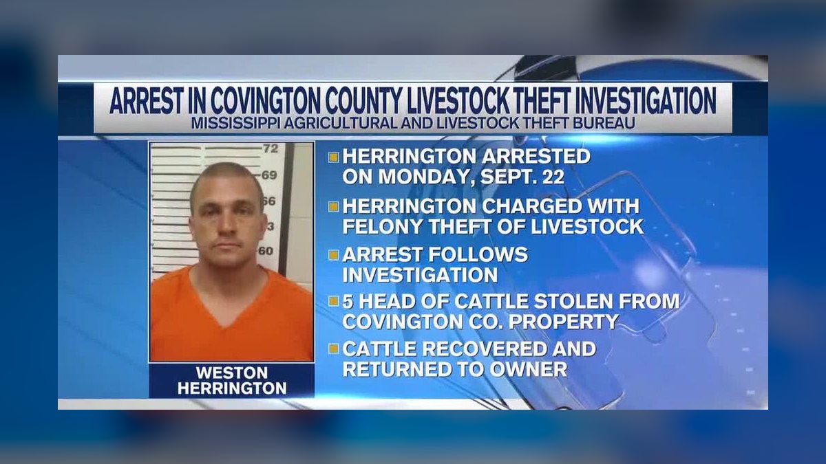 Top 10 Steakhouses in Covington in 2027 — figure 5