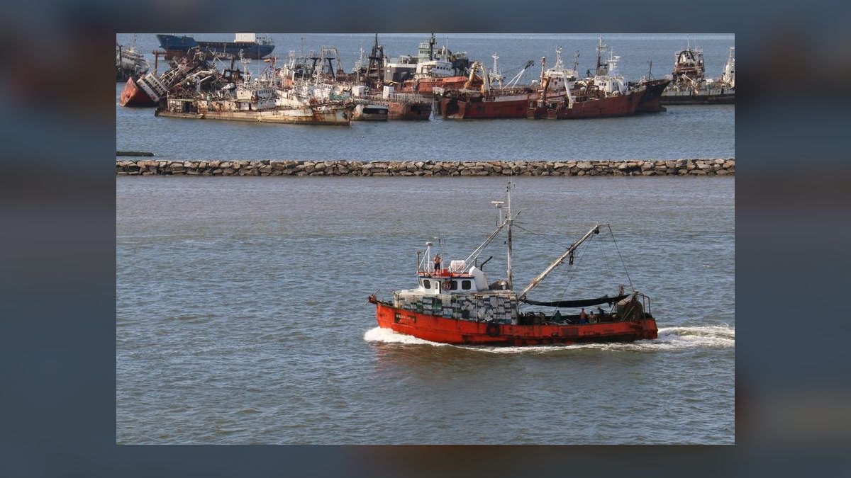 My Thoughts: Top 10 Trawlers 2024 — figure 1