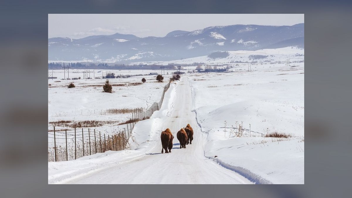 My Thoughts: Top 10 Best Towns to Live in the Rocky Mountains in 2027 — figure 10