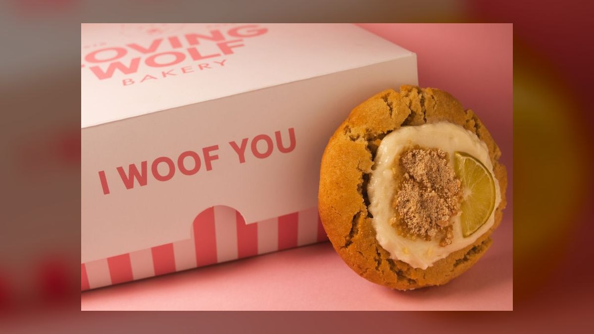 Should I open or buy a Woof Gang Bakery franchise in 2027 — figure 1
