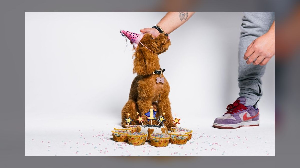 Should I open or buy a Woof Gang Bakery franchise in 2027 — figure 6