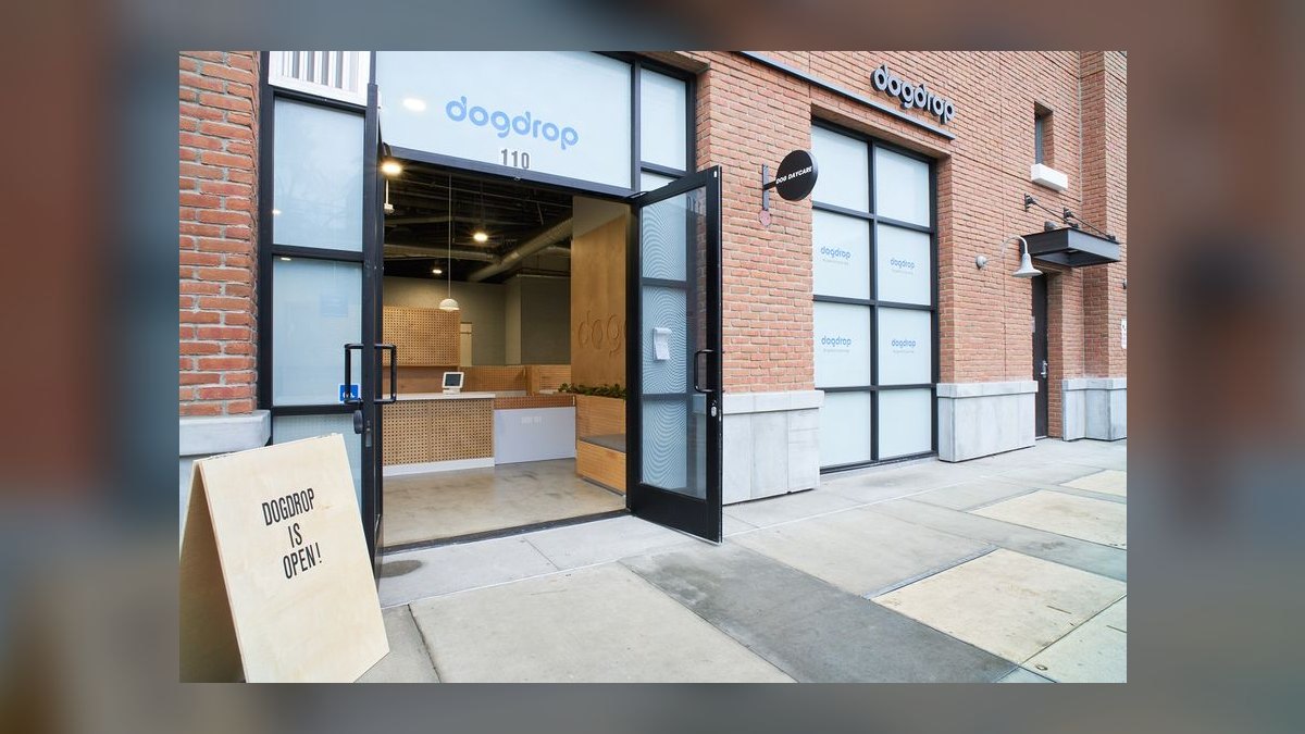 Should I open or buy a Dogdrop franchise in 2027 — figure 1