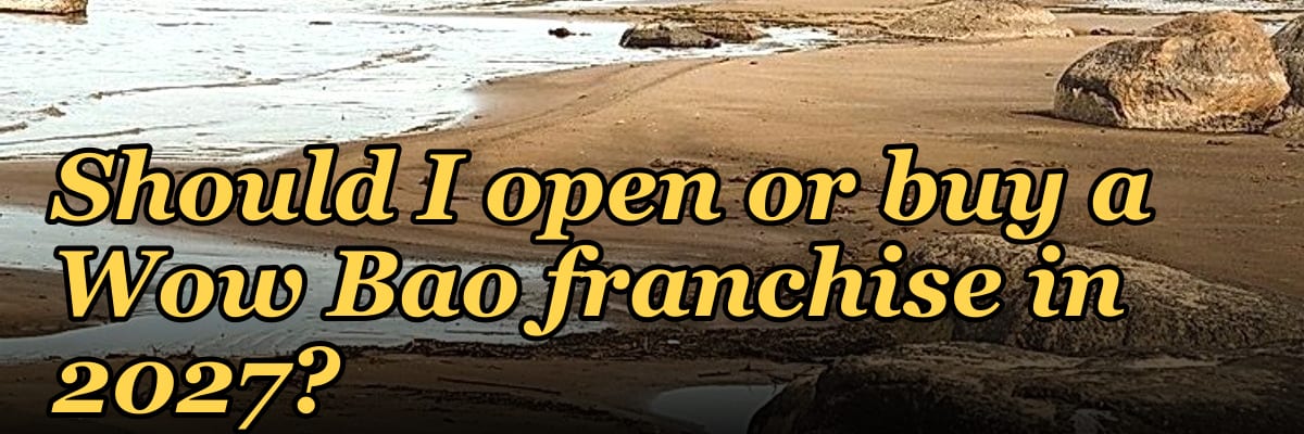 Should I open or buy a Wow Bao franchise in 2027?